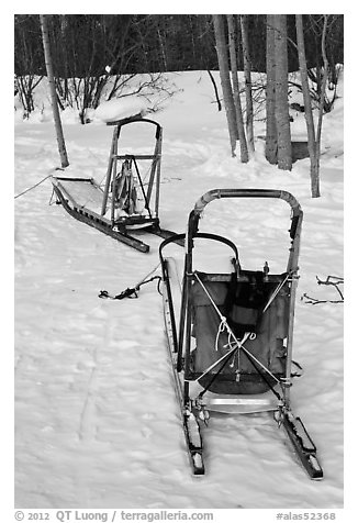 Sleds used for dog mushing. Wiseman, Alaska, USA (black and white)