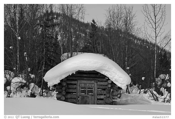 Snow-covered cabin. Wiseman, Alaska, USA