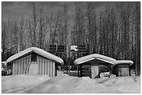 Cabins and solar panels. Wiseman, Alaska, USA (black and white)