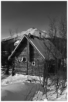 Log cabin in winter. Wiseman, Alaska, USA ( black and white)
