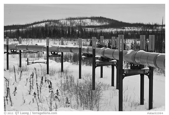 Trans Alaska Pipeline in winter. Alaska, USA (black and white)