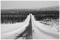 North Slope Haul Road in winter. Alaska, USA ( black and white)