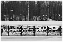 Mailboxes. Alaska, USA ( black and white)