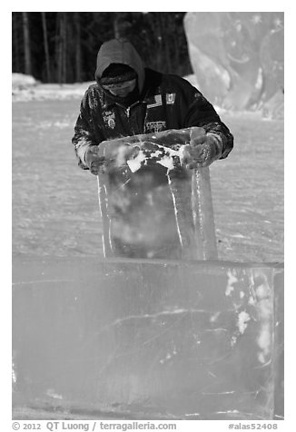 Ice carver lifting ice block. Fairbanks, Alaska, USA (black and white)