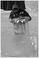 Ice carver lifting ice block. Fairbanks, Alaska, USA ( black and white)