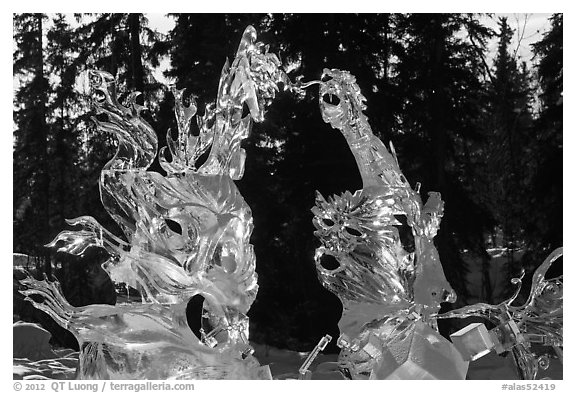 Delicate ice sculptures, World Ice Art Championships. Fairbanks, Alaska, USA (black and white)