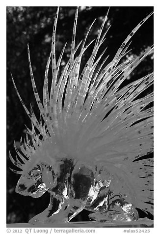 Detail of prize-winning porcupine ice sculpture, 2012 Ice Alaska. Fairbanks, Alaska, USA (black and white)