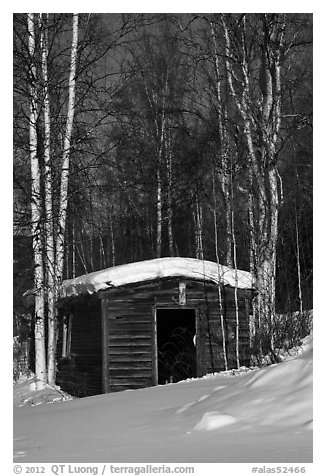 Historic cabin in winter, Chatanika. Alaska, USA (black and white)