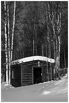 Historic cabin in winter, Chatanika. Alaska, USA ( black and white)