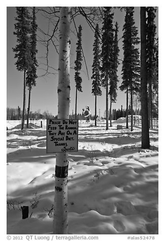 Surroundings of Santa Claus House in winter. North Pole, Alaska, USA (black and white)