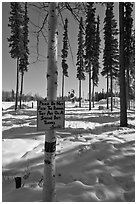 Surroundings of Santa Claus House in winter. North Pole, Alaska, USA (black and white)