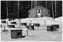 Doghouses and yurt tent. North Pole, Alaska, USA ( black and white)