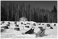 Sleds and kennel at mushing camp. North Pole, Alaska, USA (black and white)