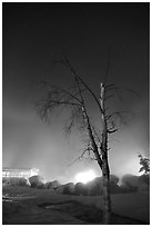 Tree, thermal steam, bathhouse, and stars. Chena Hot Springs, Alaska, USA (black and white)