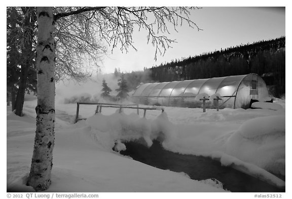 Stream and greenhouse at dawn. Chena Hot Springs, Alaska, USA (black and white)