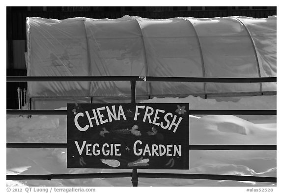 Greehouse used for vegetable production. Chena Hot Springs, Alaska, USA (black and white)