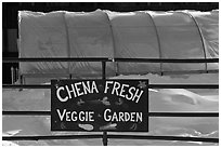 Greehouse used for vegetable production. Chena Hot Springs, Alaska, USA ( black and white)