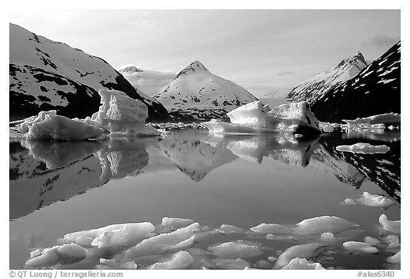 Portage Lake with icebergs. Alaska, USA