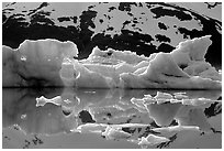 Icebergs and reflections, Portage Lake. Alaska, USA ( black and white)
