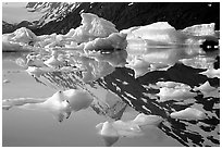 Icebergs and mountain reflections, Portage Lake. Alaska, USA ( black and white)