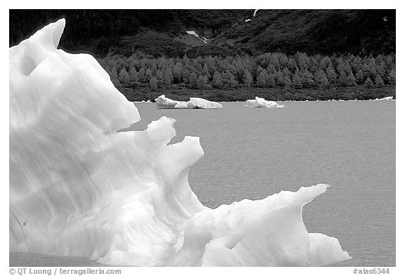 Iceberg framing Portage Lake. Alaska, USA