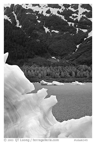 Blue iceberg and Portage Lake. Alaska, USA (black and white)