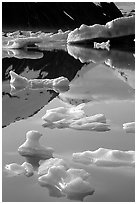 Floating ice and mountain reflections, Portage Lake. Alaska, USA (black and white)