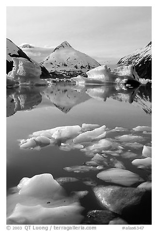 Floating ice in Portage Lake with mountain reflections. Alaska, USA (black and white)