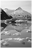 Iceberg-filled Portage Lake. Alaska, USA ( black and white)