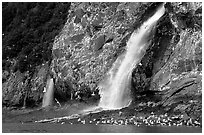 Waterfall and Seabirds. Prince William Sound, Alaska, USA (black and white)