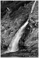 Waterfall and Seabirds. Prince William Sound, Alaska, USA (black and white)
