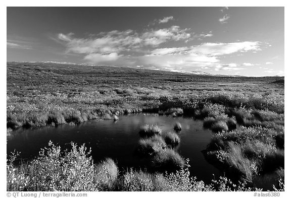 Tundra in autum colors and pond. Alaska, USA