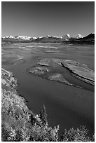 Wide Susitna River and fall colors on the tundra. Alaska, USA ( black and white)