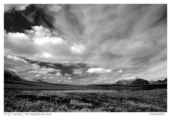 Tundra in fall color, lake, and sky dominated by large clouds. Alaska, USA (black and white)