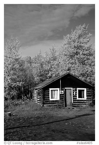 Log cabin and trees in fall color. Alaska, USA (black and white)