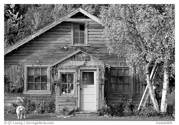 Dog in front of house in Copper Center. Alaska, USA (black and white)