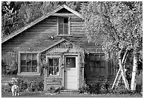 Dog in front of house in Copper Center. Alaska, USA (black and white)