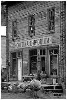 Chitina Emporium. Alaska, USA ( black and white)