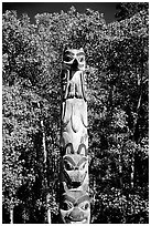 Totem pole, University of Alaska. Fairbanks, Alaska, USA (black and white)