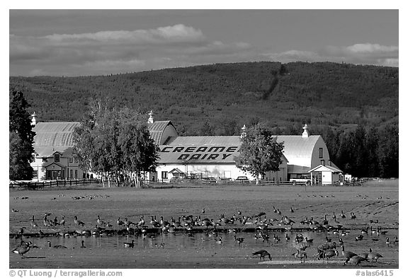 Creamer's dairy and field field. Fairbanks, Alaska, USA (black and white)