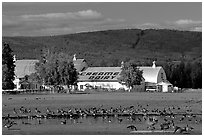 Creamer's dairy and field field. Fairbanks, Alaska, USA ( black and white)