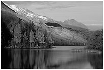 Long Lake with Autum Aspens, late afternoon. Alaska, USA ( black and white)