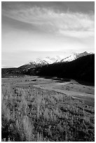 Aspens in fall colors,  Chugach mountains, winding river. Alaska, USA (black and white)