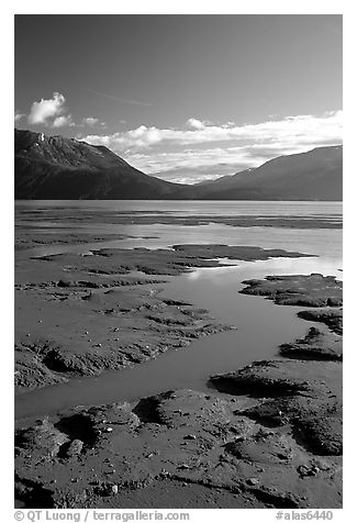 Mud flats, Turnagain Arm. Alaska, USA