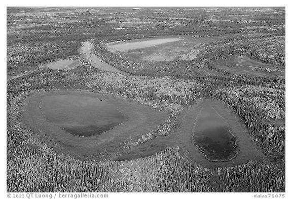Aerial view of lakes in autumn. Alaska, USA (black and white)