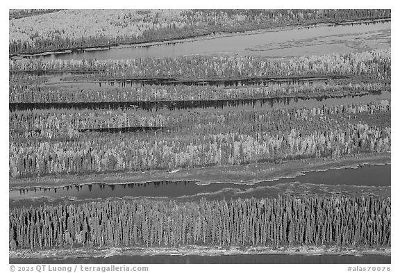 Aerial view of Yukon River arms in autumn. Alaska, USA