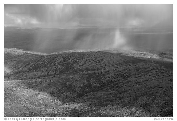 Aerial view of hillside in autumn with rain and rainbow. Alaska, USA (black and white)