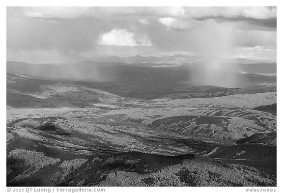 Aerial view of autumn forest with rain. Alaska, USA (black and white)
