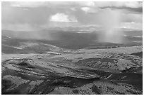 Aerial view of autumn forest with rain. Alaska, USA ( black and white)