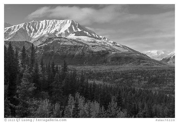 Bivouac Peak and Delta River valley. Alaska, USA